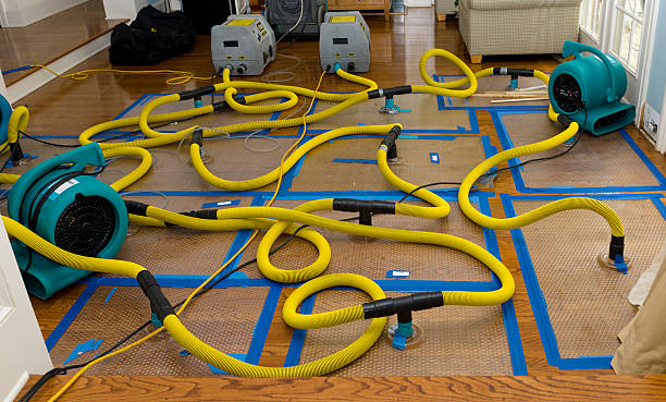Professional Flood Damage Restoration technician working in Sharon Hill, PA
